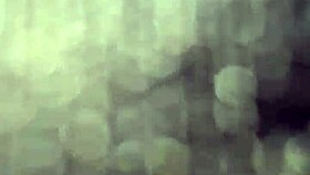 exploring the beauty of hermosa latina amateurs