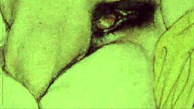 Vintage erotic drawings