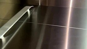 i met a stranger in the elevator who gave me a blowjob with big tits and ass shaking