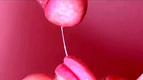 Little Latina Slut Sucks Cock and Cums in Mouth During Holiday POV