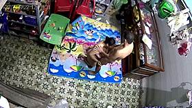 hey, wanna see my vietnamese wife in action tonight?