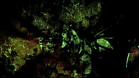 Check Out This Vintage Erotic Illustration