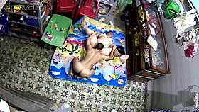 hey, wanna see my vietnamese wife in action tonight?