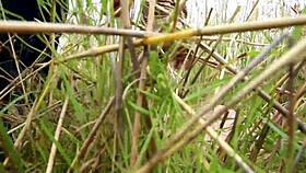 My Heart Races Seeing Her Bound Naked Body