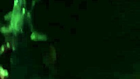 Did My Sister-in-Law Just Pay a Bet with Wild Sex After Party?