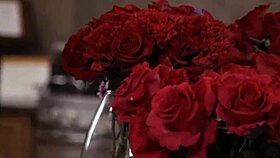 want me to lick your pussy? adira allure asks kit mercer.