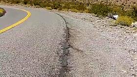 I Love Being Naked In Public Outdoors