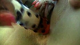 Lily lane auditions in pantyhose for homemade solo scene