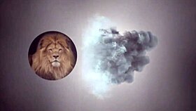 Pool Bath Turns Into Wild Sex