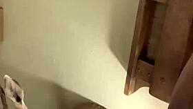 Pornstar Gives Blowjob Then Doggystyle Fuck