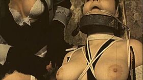 my secret life top twenty vintage punishments 😱