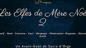 les elfes de mere noel 2 with french european dialogue