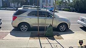 fit ava lee working out with rome majors monster cock