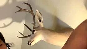 Pornstar Gives Blowjob Then Doggystyle Fuck