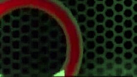 fit ava lee working out with rome majors monster cock