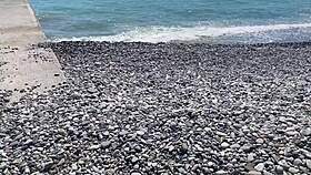 Cute beach girl turns into the dirtiest slave with tight pussy play.