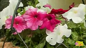 Imagine a strapon creampie in this blonde lesbian slut during outdoor POV