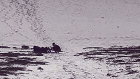 Vazou Na Net Mais Depilada Olha o Que Aconteceu