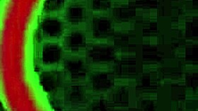 Marylin melons has a big ass which rome major likes to bang