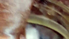 Micro Penis Sissy Pissing In Different Places