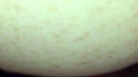 Did I Fuck Him In The Ass So Hard?