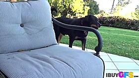 Sweet brunette rubs and licks dildo outdoors. Natural tits babe enjoys masturbation.