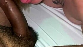 delicious blowjob leads to intense anal in hotel