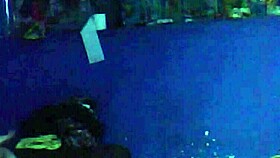 After the party, I sneaked out to visit the neighbor