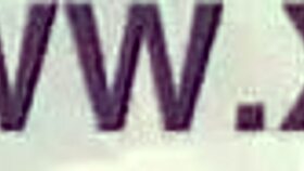 Can a petite latina handle four robbers with monster cocks?