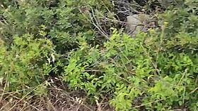 petite pipe exhib en nature pendant mon voyage a chypre