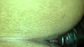 Cuckold husband films karina with muscular bodybuilder