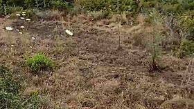 petite pipe exhib en nature pendant mon voyage a chypre