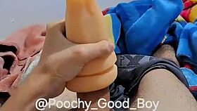 Enjoy the best content with gay twink pictures