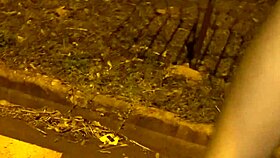 Did I Convince the Neighbor to Show Her Ass on the Street?