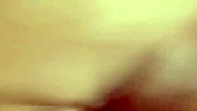 sundaydogood614 shares update 366 video on july 30 2024