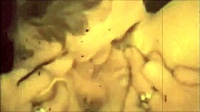 Bold Vintage Lesbian Threesome: Hairy Erotic Confessions from Victorian Gentleman