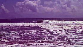 अरे, क्या तुमने गॉर्जस टीन 18+ Agnes को समंदर में नंगी नहाते हुए देखा?