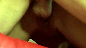 sexy black panther rides hungry bear hard