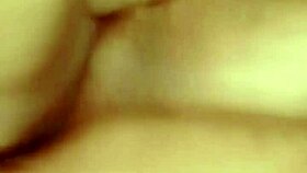 sundaydogood614 shares update 366 video on july 30 2024