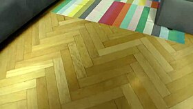 Dan and johnny stretch zuzu's tight cunt.