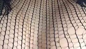 le tiran semen en la cara - cumshot facial - anal - sexo anal - verdadero anal - le rompen el co�o y le dan la leche en la cara - creampie