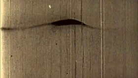 hey, check out these cool vintage erotic drawings from way back.