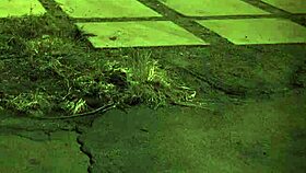 I experienced my first outdoor orgy with tall amazon domination