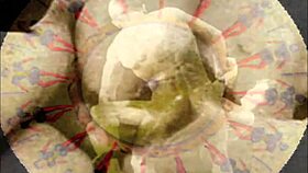 vintage erotic cartoon drawings collection