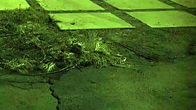 I experienced my first outdoor orgy with tall amazon domination