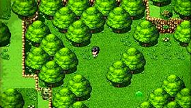 A shy guy marries his friend in exchange for a favor in Bible Quest part 8