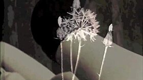 vintage secrets from my hidden granny life unveiled