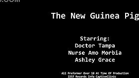 The new guinea pig alternative - Alexis Grace