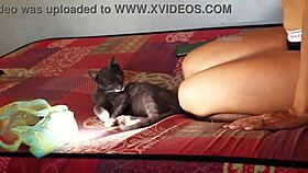 bebele talks about her boobs and implants