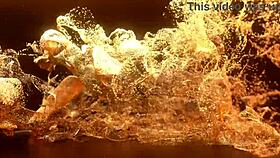 New girl Vicky Demon in sexy outfit makes her first anal sex